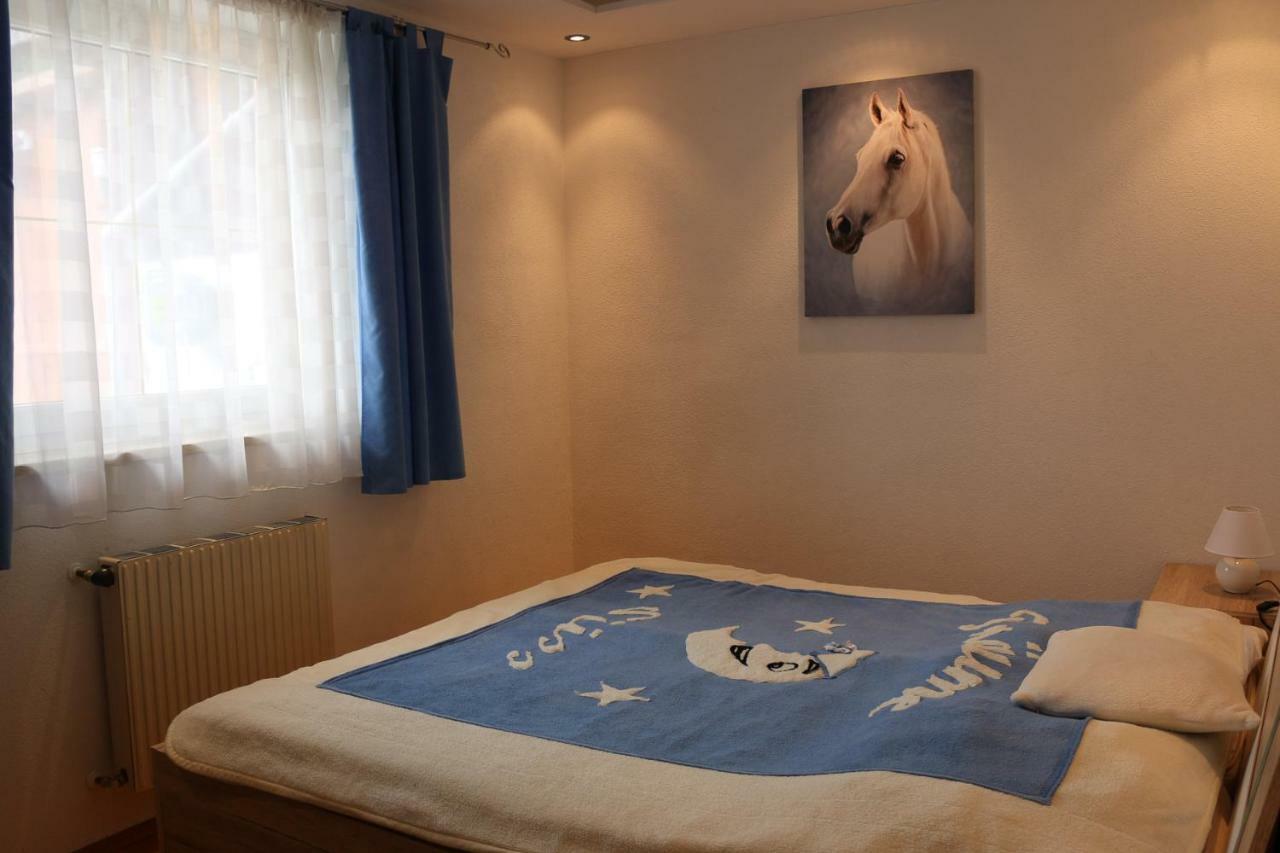 Zur Alpenruhe Apartman Seeboden Kültér fotó